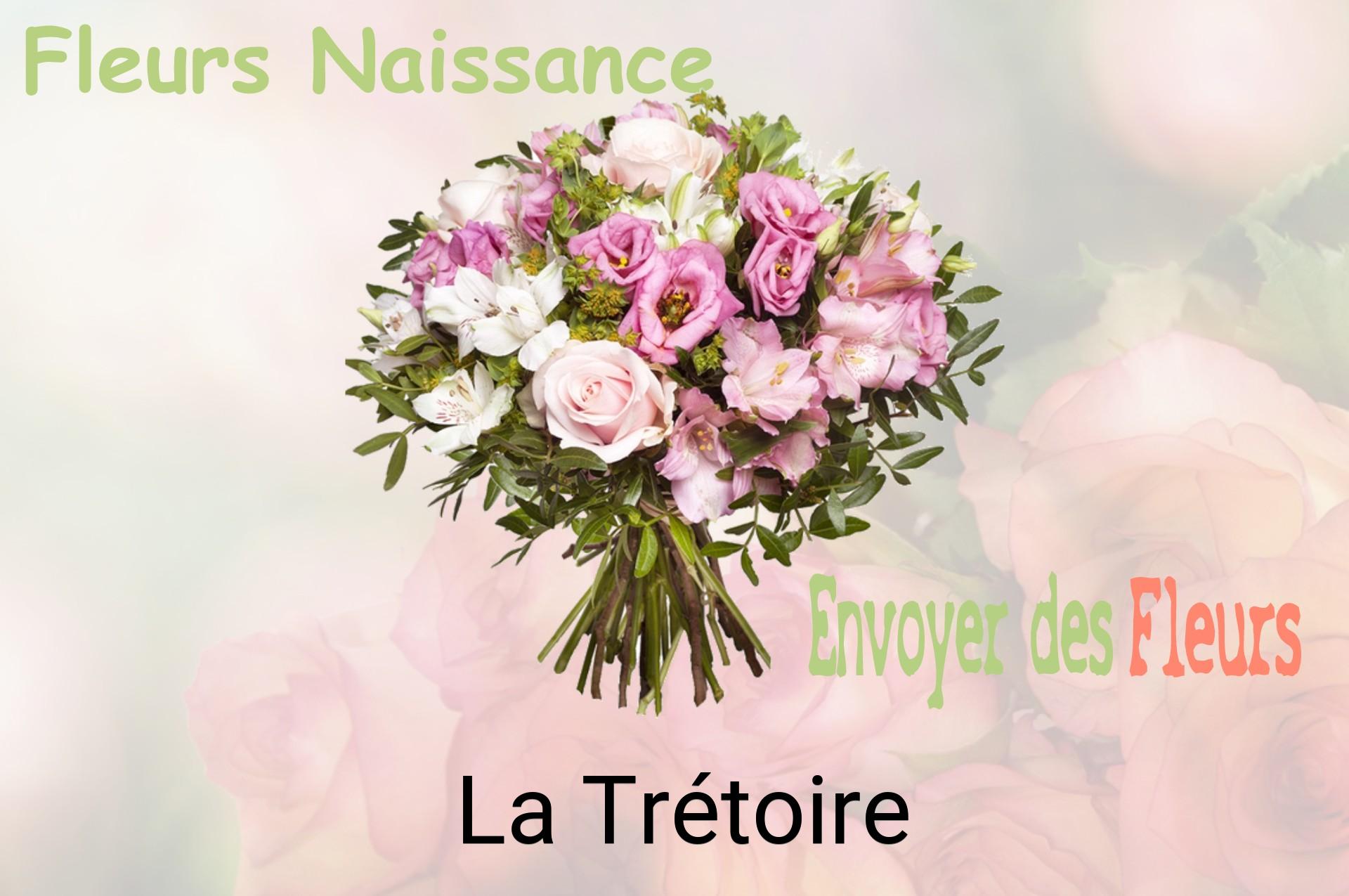 Bouquet de fleurs de naissance livré à La Trétoire